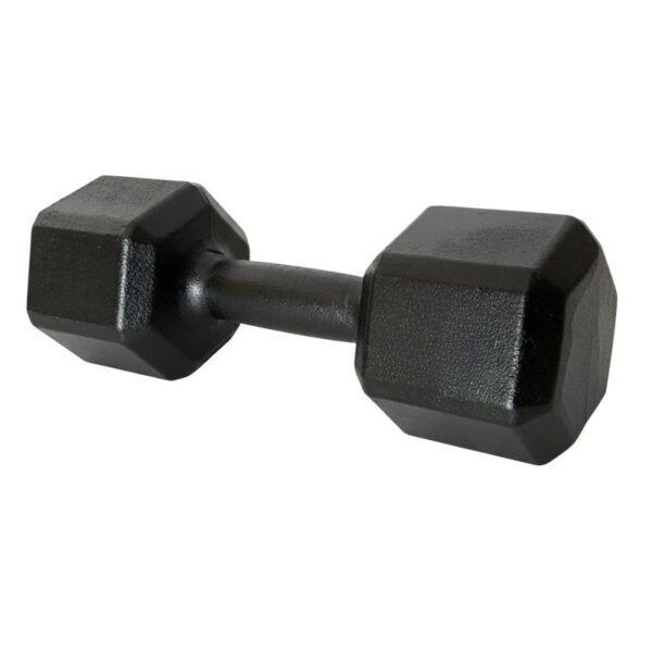 Dumbbell Sextavado Pintado